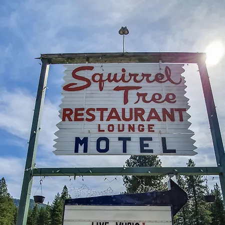 Squirrel Tree Resort-3