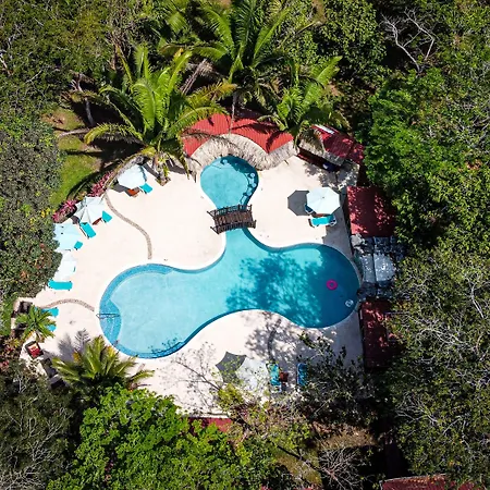 Kikiwitz Resort-3