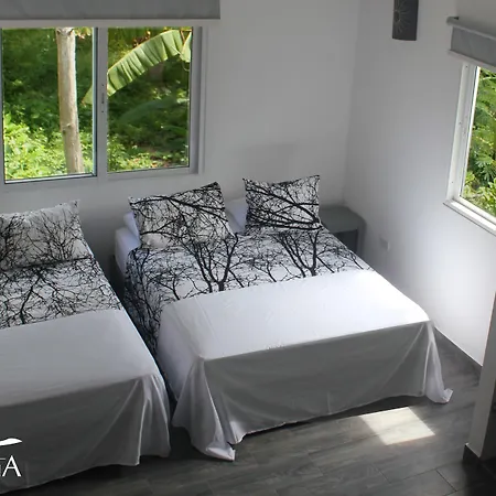 Beach Hotel Casa Nina-2