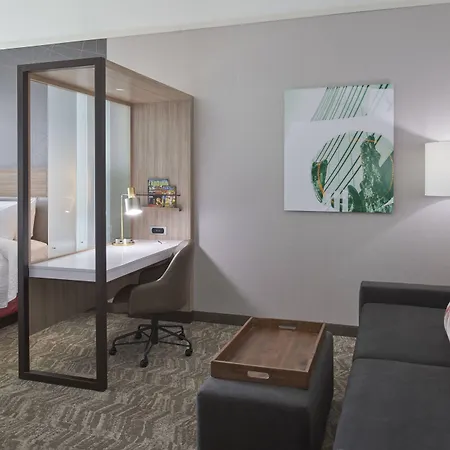 Springhill Suites By Marriott East Lansing University Area, Lansing Area-2