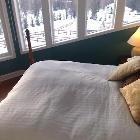 Alaska Sundance Retreat Bed & Breakfast-2