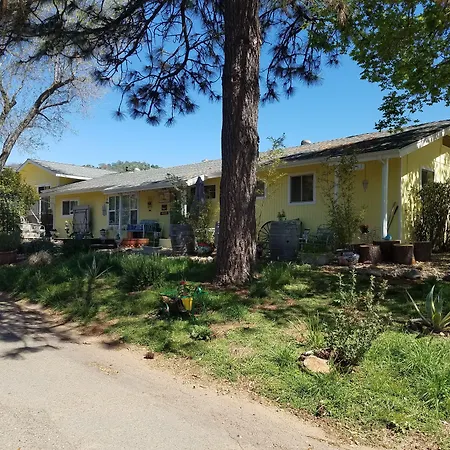 Yosemite Plaisance Bed & Breakfast-3