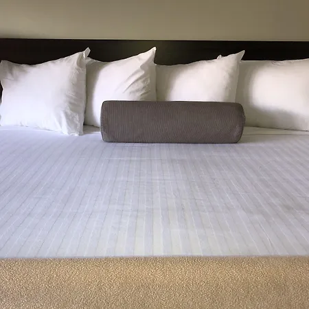 Hotel Elevation-2