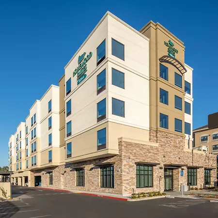 Homewood Suites By Hilton Belmont-3