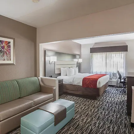 Comfort Suites Lewisville - Dallas-2