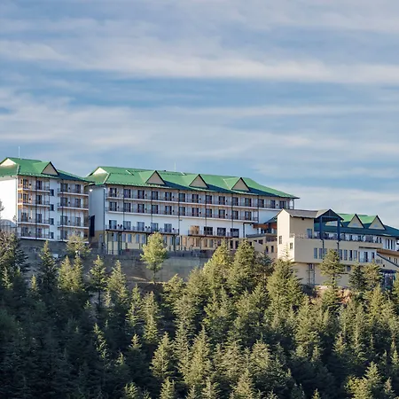 Taj Theog Resort & Spa Shimla-3