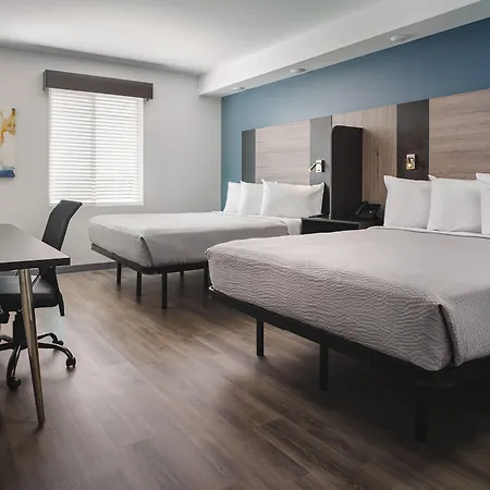Stayapt Suites Raleigh-Durham/Rtp-2