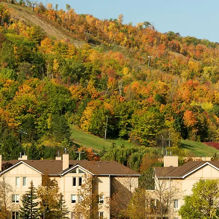 Blue Mountain Resort Home Collection-3