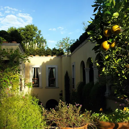 Casa Misha-3