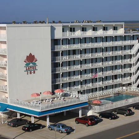 Lotus Inn-2