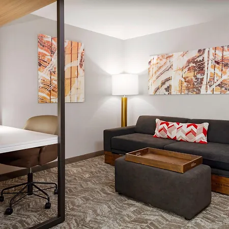 Springhill Suites By Marriott Beaufort-2