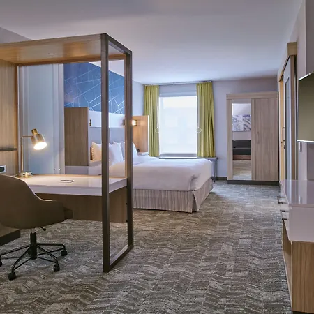 Springhill Suites By Marriott Detroit Dearborn-3