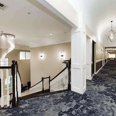 Surestay Studio By Best Western Conroe Downtown-3