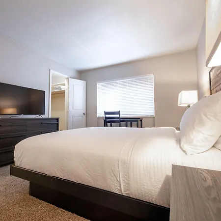 Stay Avenida Westshore-2