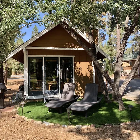 Grey Squirrel Resort-3