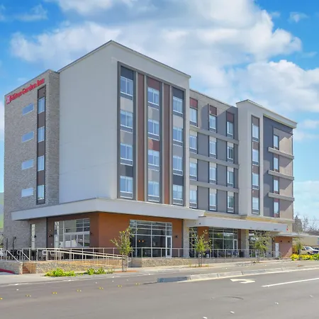 Hilton Garden Inn Fremont Milpitas-3
