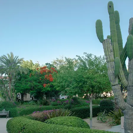 Pedregal Suites - Marina And Downtown-3