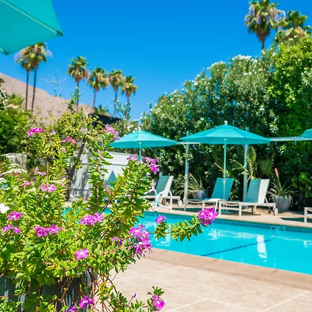 Bellevue Oasis - Adults Only-3