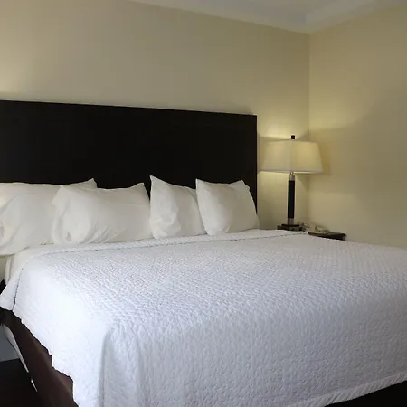 Curtis Inn & Suites-2