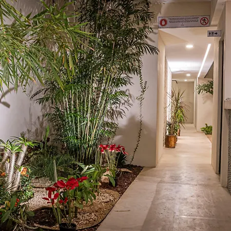 Moonshine Tulum Hotel & Hostel-2