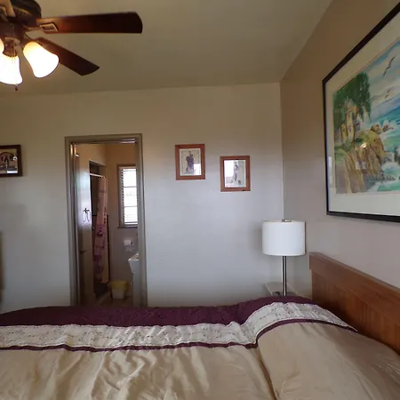 Cypress Tree Motel-2