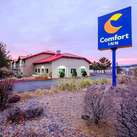 Comfort Inn Near Gila National Forest-3