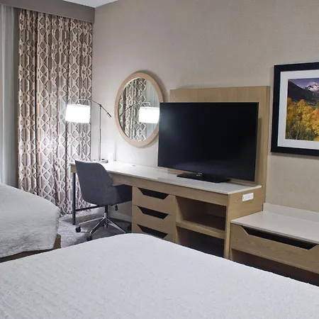 Hampton Inn & Suites Denver-Speer Boulevard-3