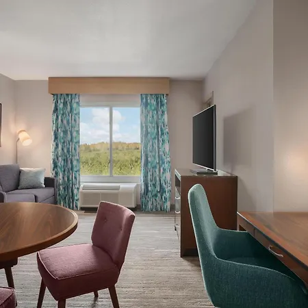 Hilton Garden Inn Tampa North-3
