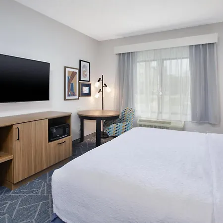 Hampton Inn Detroit/Belleville-Airport Area-3
