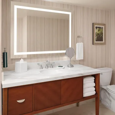 Hilton Washington Dc/Rockville Hotel & Executive Meeting Center-3