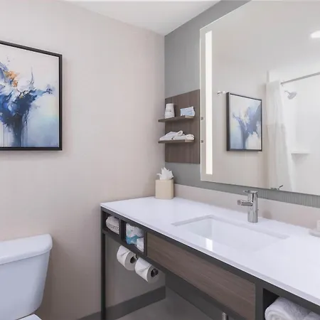 Hilton Garden Inn Des Moines/Urbandale-3