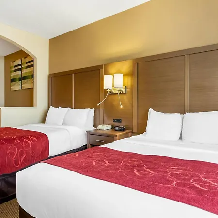 Comfort Suites Bush Intercontinental Airport-3