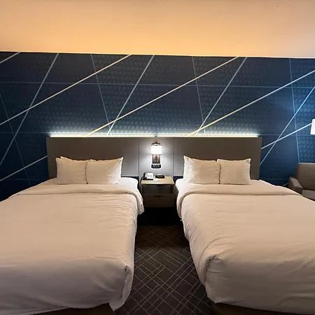 Comfort Inn & Suites Love Field-Dallas Market Center-2