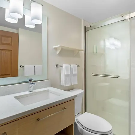 Mainstay Suites Tampa Moffitt-Usf-3