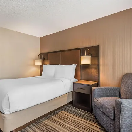 Best Western Plus Calgary Centre Inn-3