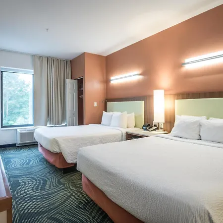 Springhill Suites Statesboro University Area-3
