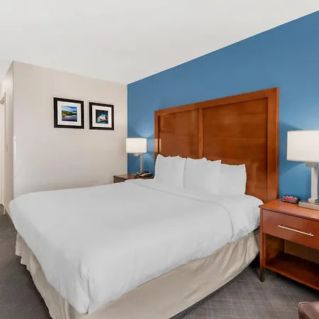 Comfort Inn & Suites Rifle-3