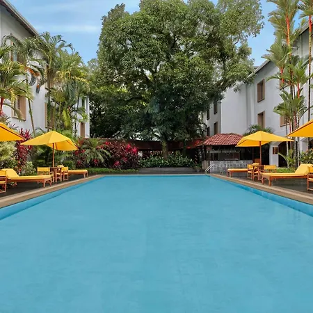 The Fern Kochi, Series By Marriott-3