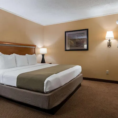 Surestay Plus By Best Western Covington-2