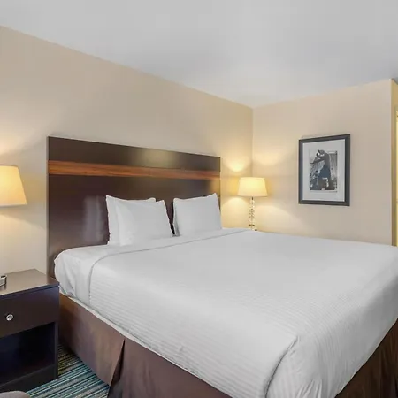 Best Western Alderwood-3