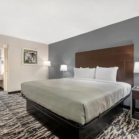 Quality Inn & Suites Easley - Greenville-3
