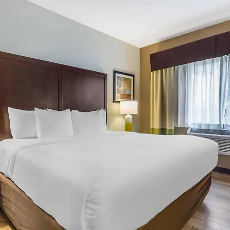 Comfort Inn Federal Way - Seattle-2