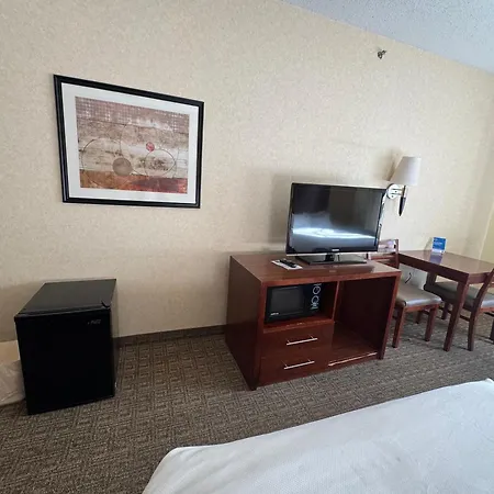Comfort Inn & Suites Hamburg - Buffalo South-3