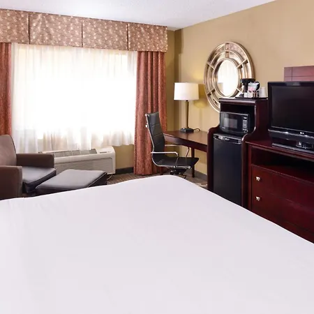 Holiday Inn Express Hotel Clearwater East - Icot Center By Ihg-3
