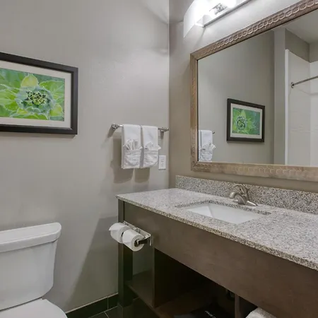 Best Western Plus Tech Medical Center Inn-2