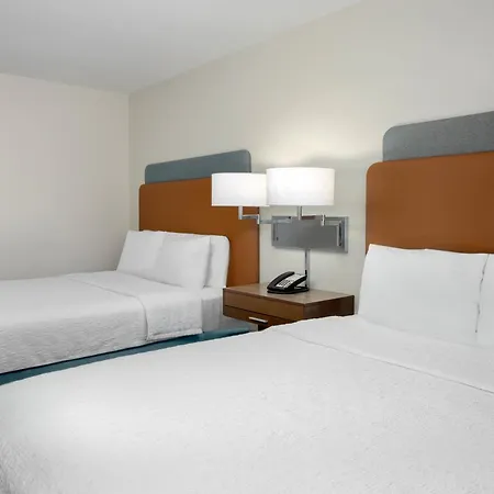 Hampton Inn & Suites Tampa Airport Avion Park Westshore-3