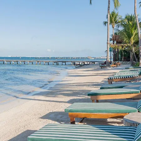 Mayan Monkey Isla Mujeres - Social Hotel (Adults Only)-2