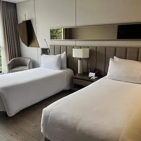 York Medellin, Curio Collection By Hilton-2