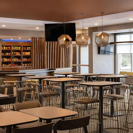 Springhill Suites By Marriott Detroit Sterling Heights-2