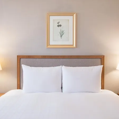 Mayfield Hotel Seoul-2